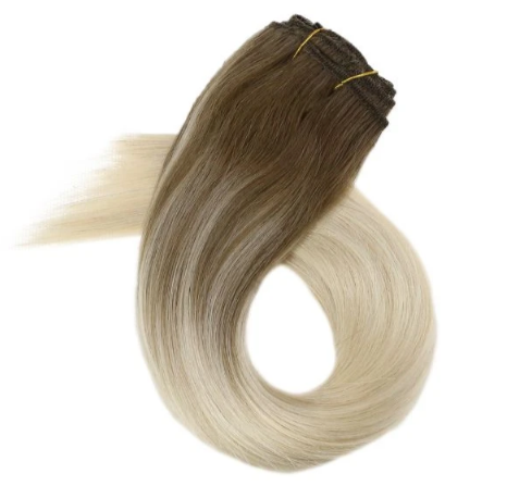 #9a/60 Balayage Clip in Extensions