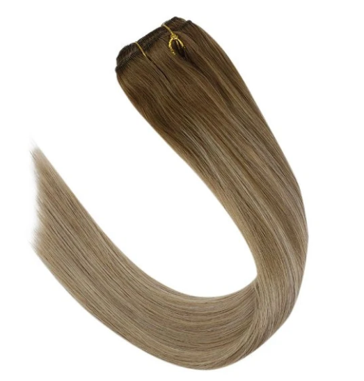 #6/18/22 Balayage Clip In Extensions